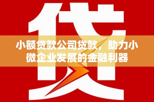 善化小额贷款公司贷款，助力小微企业发展的金融利器
