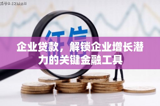 善化企业贷款，解锁企业增长潜力的关键金融工具