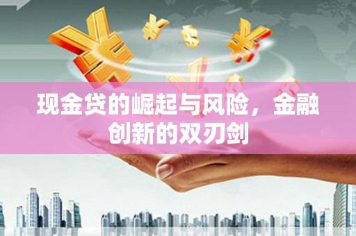 善化现金贷的崛起与风险，金融创新的双刃剑