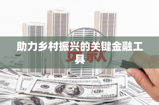 善化助力乡村振兴的关键金融工具