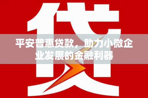 善化平安普惠贷款，助力小微企业发展的金融利器