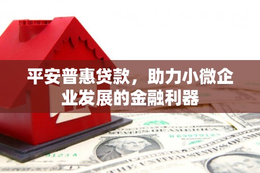 善化平安普惠贷款，助力小微企业发展的金融利器