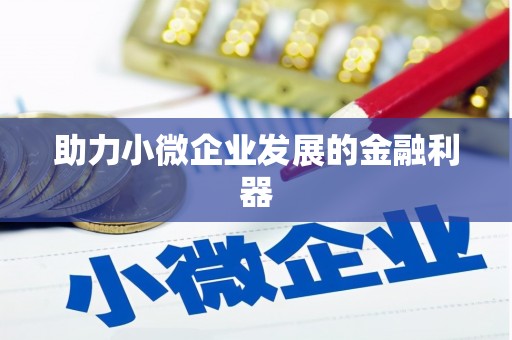 善化助力小微企业发展的金融利器
