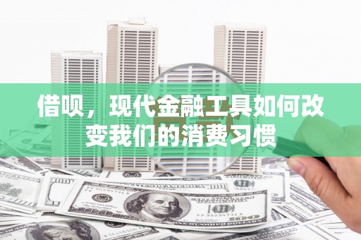 善化借呗，现代金融工具如何改变我们的消费习惯