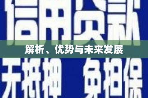 善化解析、优势与未来发展