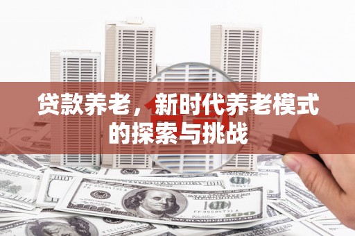 善化贷款养老，新时代养老模式的探索与挑战