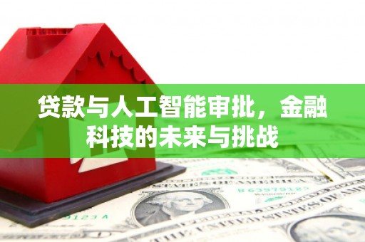 善化贷款与人工智能审批，金融科技的未来与挑战