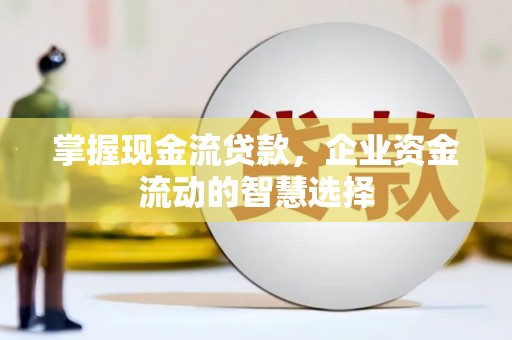 善化掌握现金流贷款，企业资金流动的智慧选择