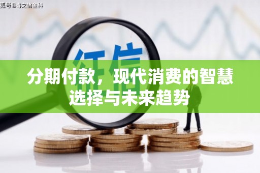 善化分期付款，现代消费的智慧选择与未来趋势