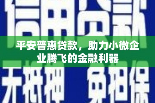 善化平安普惠贷款，助力小微企业腾飞的金融利器