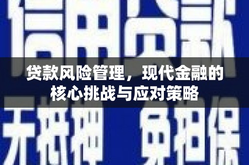 善化贷款风险管理，现代金融的核心挑战与应对策略