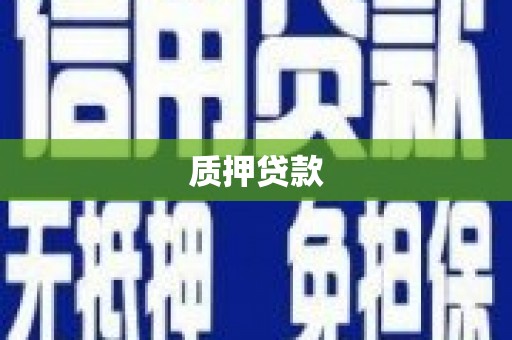 善化质押贷款