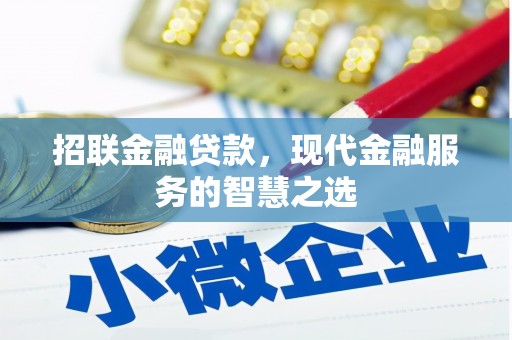 善化招联金融贷款，现代金融服务的智慧之选