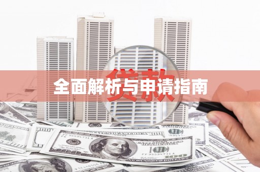 善化全面解析与申请指南