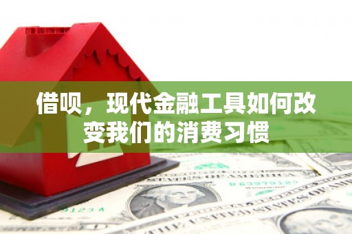 善化借呗，现代金融工具如何改变我们的消费习惯