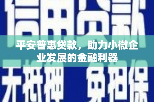 善化平安普惠贷款，助力小微企业发展的金融利器