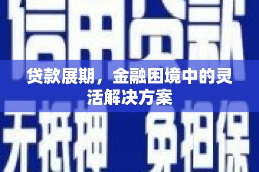 善化贷款展期，金融困境中的灵活解决方案