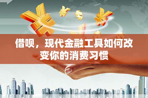 善化借呗，现代金融工具如何改变你的消费习惯