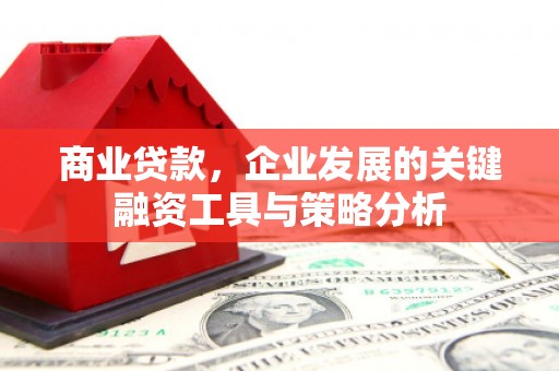 善化商业贷款，企业发展的关键融资工具与策略分析