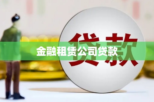 善化金融租赁公司贷款
