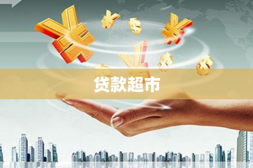 善化贷款超市