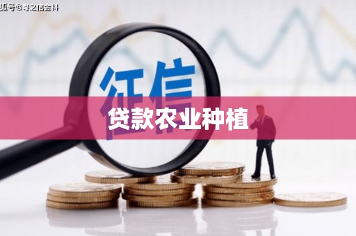 善化贷款农业种植