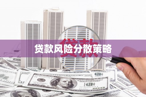 善化贷款风险分散策略
