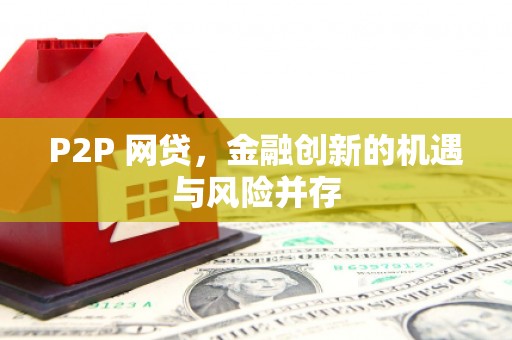 善化P2P 网贷，金融创新的机遇与风险并存