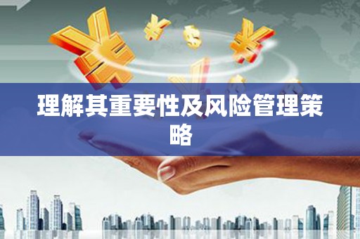 善化理解其重要性及风险管理策略