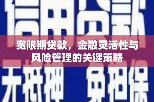 善化宽限期贷款，金融灵活性与风险管理的关键策略