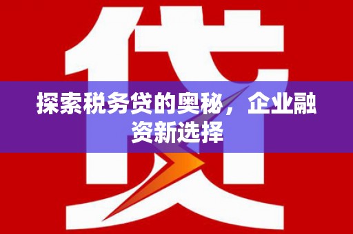 善化探索税务贷的奥秘，企业融资新选择