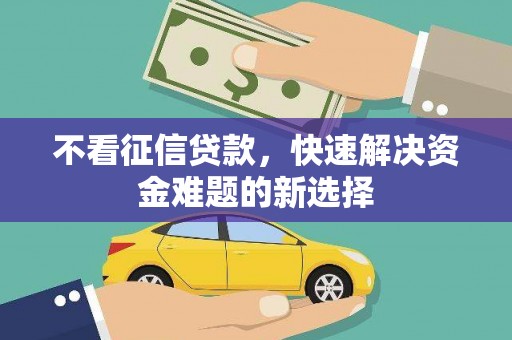 善化不看征信贷款，快速解决资金难题的新选择