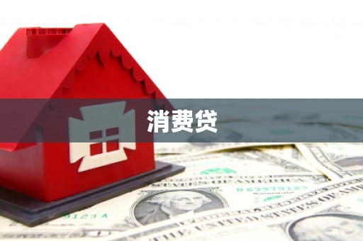善化消费贷