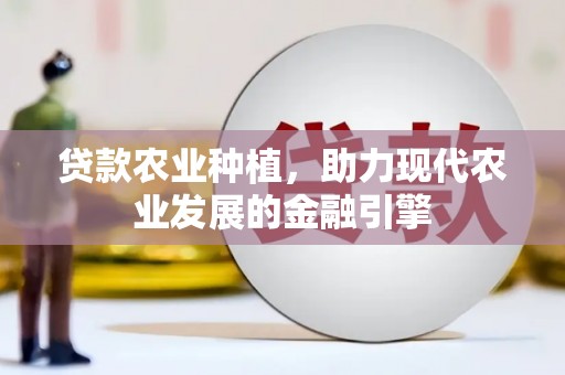 善化贷款农业种植，助力现代农业发展的金融引擎