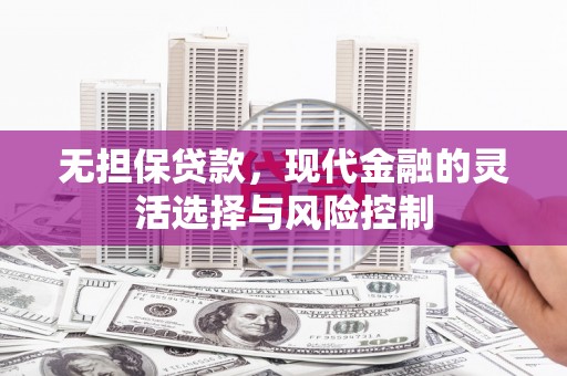 善化无担保贷款，现代金融的灵活选择与风险控制
