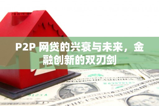 善化P2P 网贷的兴衰与未来，金融创新的双刃剑