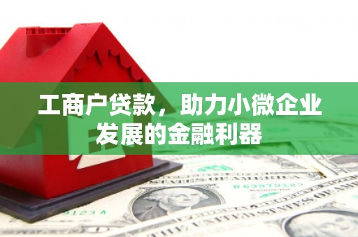 善化工商户贷款，助力小微企业发展的金融利器