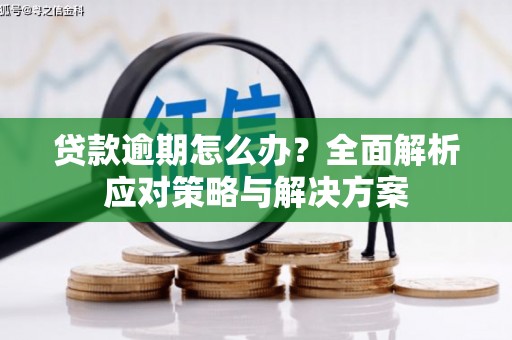 善化贷款逾期怎么办？全面解析应对策略与解决方案