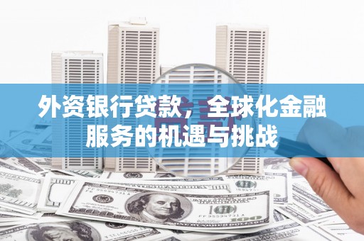 善化外资银行贷款，全球化金融服务的机遇与挑战