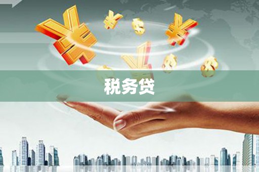 善化税务贷