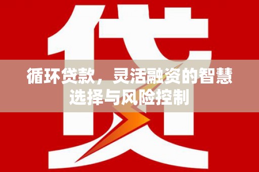 善化循环贷款，灵活融资的智慧选择与风险控制