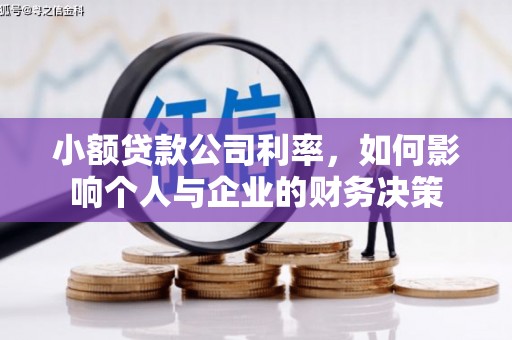 善化小额贷款公司利率，如何影响个人与企业的财务决策