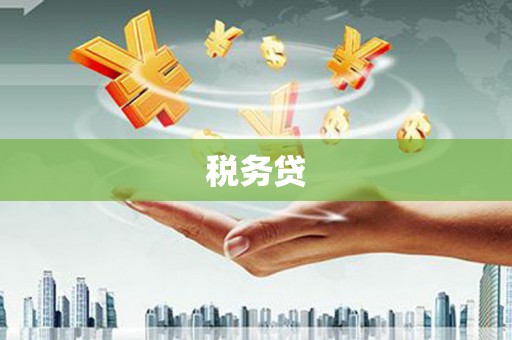 善化税务贷