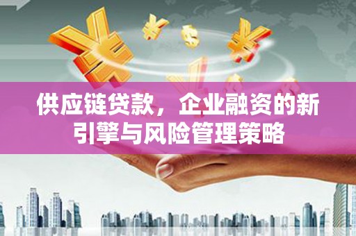 善化供应链贷款，企业融资的新引擎与风险管理策略