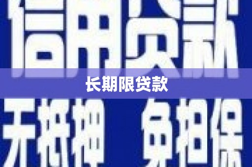 善化长期限贷款