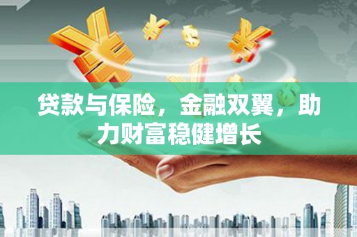 善化贷款与保险，金融双翼，助力财富稳健增长