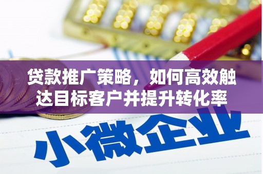 善化贷款推广策略，如何高效触达目标客户并提升转化率