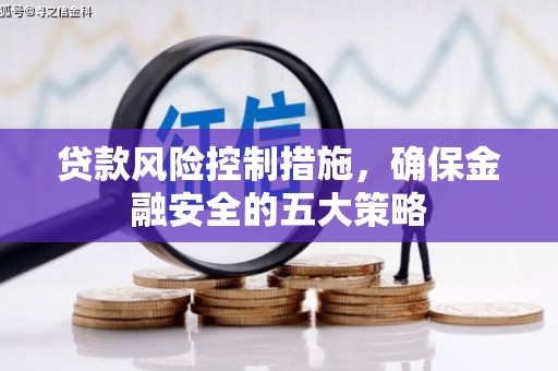 善化贷款风险控制措施，确保金融安全的五大策略