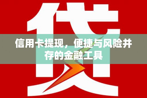 善化信用卡提现，便捷与风险并存的金融工具