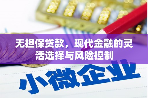 善化无担保贷款，现代金融的灵活选择与风险控制